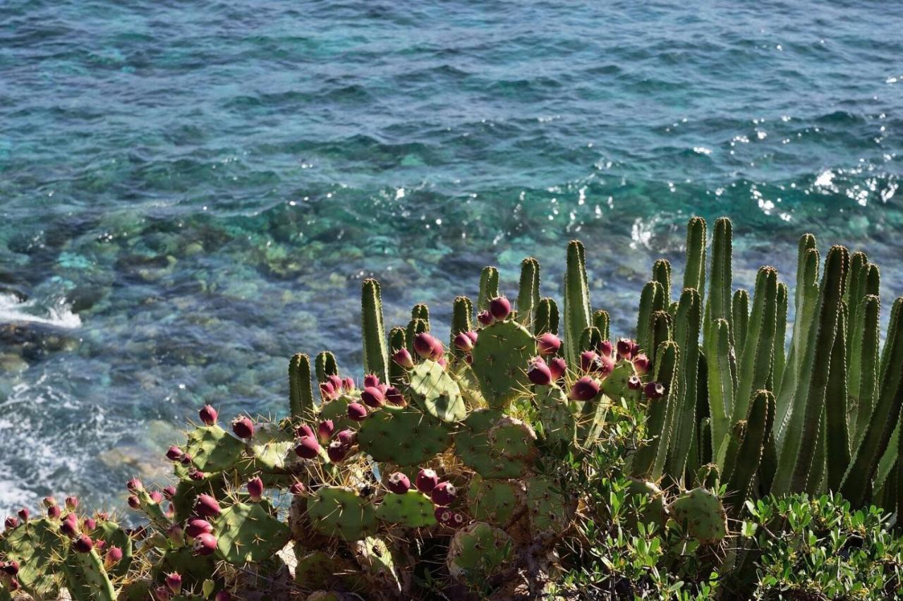 瑟利托公寓 Playa Cancajos.- BreNa Baja  外观 照片